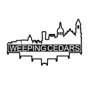 Weeping Cedars
