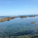 コラボと自由な部屋