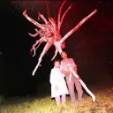 Cursed