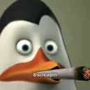Chat shit and memes