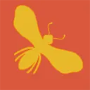 Banded Moth