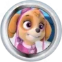 Skye Discord Server