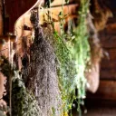 The Herbalist's Guild