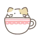 ♡ tea time! ♡