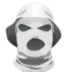 MxxzouR | Discord