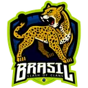 Seleção Brasileira