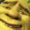 Shrek Swamp🌻 Discord server icon