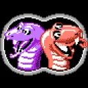 Snake Rattle 'n' Roll