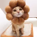 bread gang
