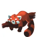 Red Development