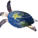 Turtle Earth Movement