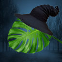 Discovery icon for Houseplants! Discord server