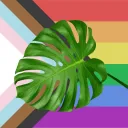 Houseplants!