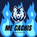 Cachis Network
