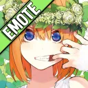 Yotsuba Nakano Server
