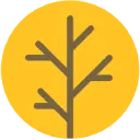 Yellow Wood Academy Old