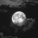 m y s t i c - m e a d o w Server Icon