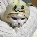 非人類の友