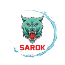 SAROK TEAM icon