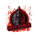 VRSK GAMERS & 3D ART