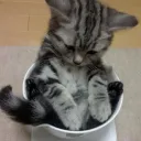暇人の集い