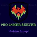 PRO GAMNG SERVER!