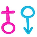 gender