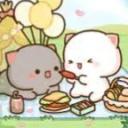 ★彡 Peach Cat