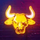 🐮BULLCASE🐮