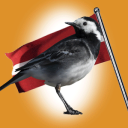 Bardaks icon