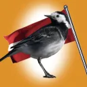 Bardaks Discord Server Icon