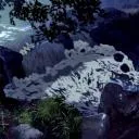 TRIBE OF RUSHING WATER