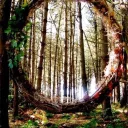 Mackinac: Myths, Mysteries, and Magic