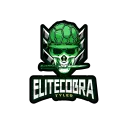 Elite Gaming Community