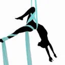 Silks