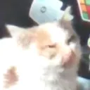 Убежище (не штурм)