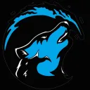 WvS E-Sports