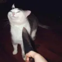 (ง'̀-'́)ง Fight or Bite (ง'̀-'́)ง