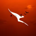 🎃 Qantas
