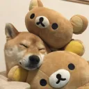 slaya doggo club