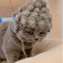 狐貓OuO