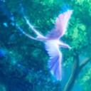 Harmony
