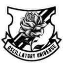 Oscillatory Universe