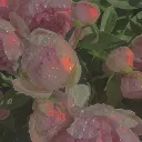 𓆩 azalea garden 𓆪