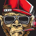 Check announcements | Illictrp
