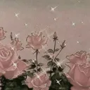 the flower bed