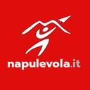 Napulevola VA Discord Server Icon
