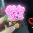 はるぁ鯖
