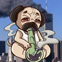 PUGS