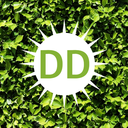 Discite Discite Server Icon